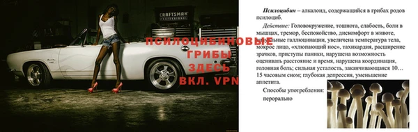 синтетический гашиш Инта