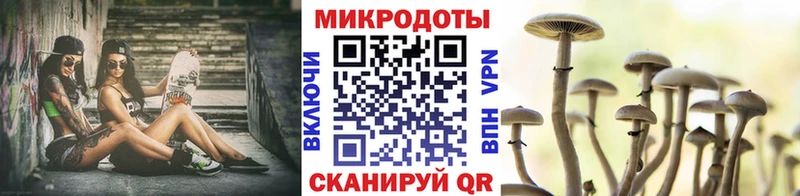 Галлюциногенные грибы GOLDEN TEACHER  наркошоп  Шали 