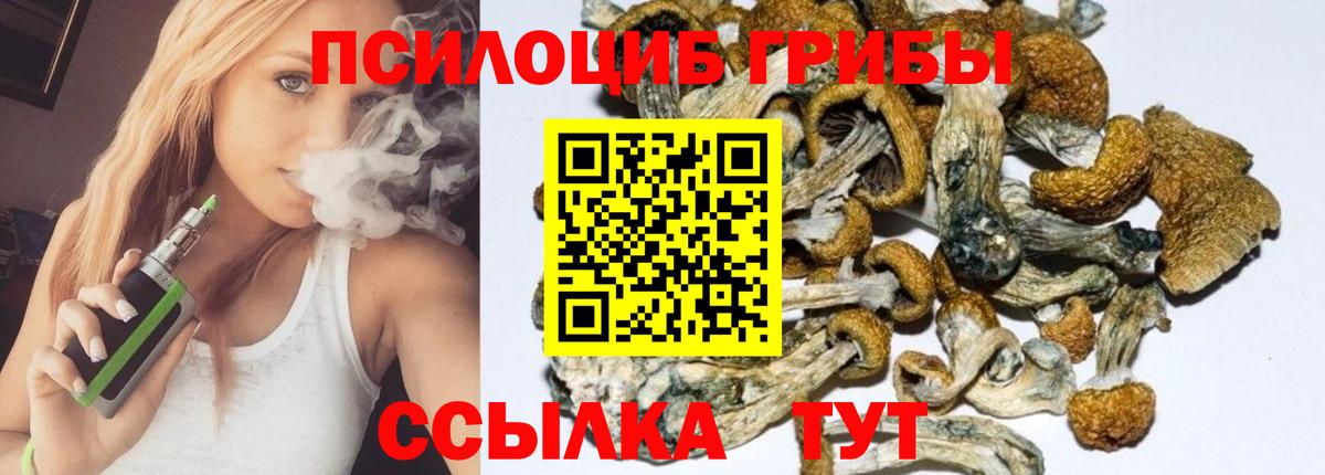 Псилоцибиновые грибы Magic Shrooms  Вход с VPN  купить наркотик  Шали 
